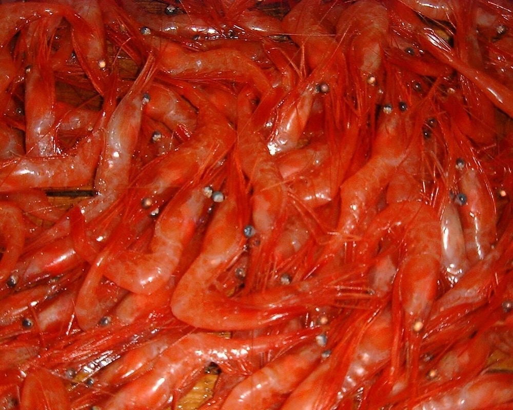 夕日と漁火の宿 七浦荘 新潟