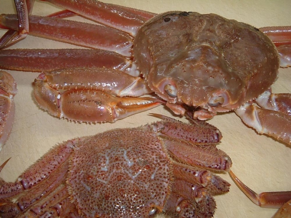 夕日と漁火の宿 七浦荘 新潟