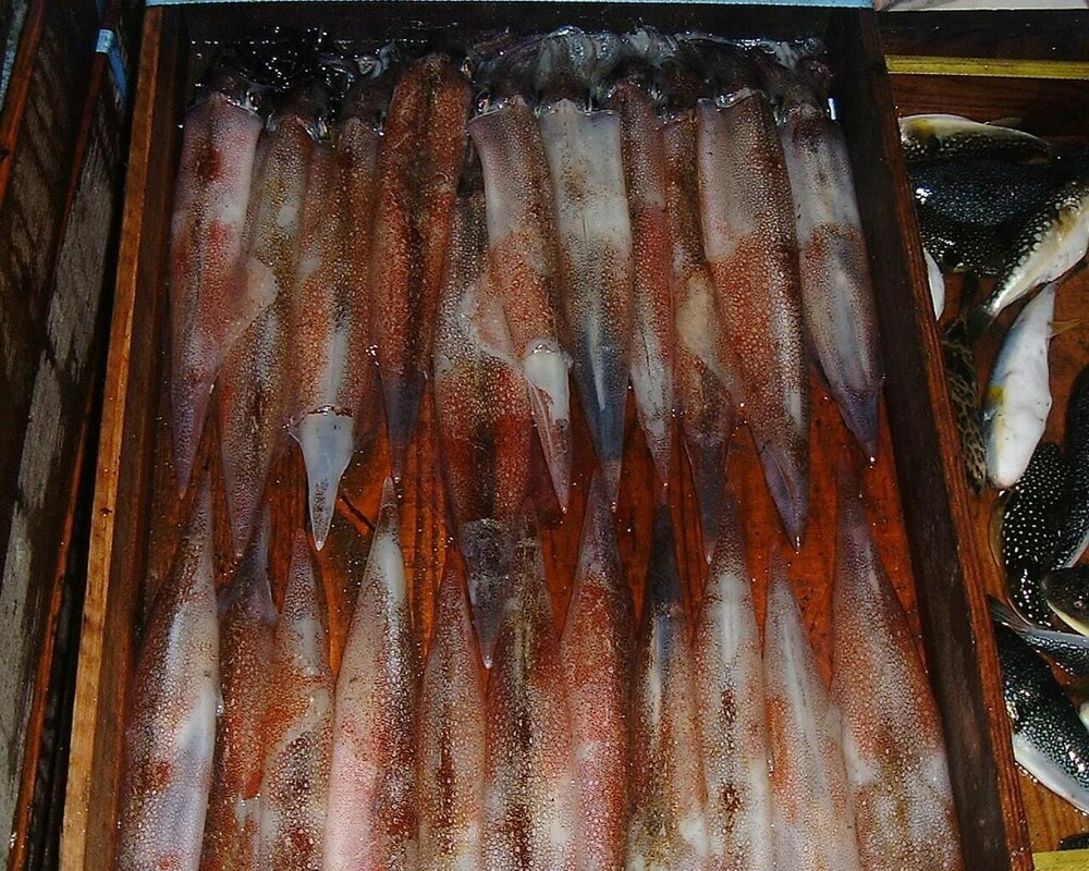 夕日と漁火の宿 七浦荘 新潟