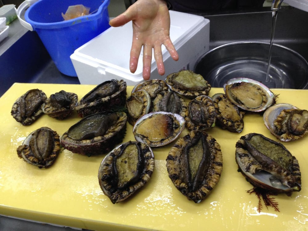 夕日と漁火の宿 七浦荘 新潟