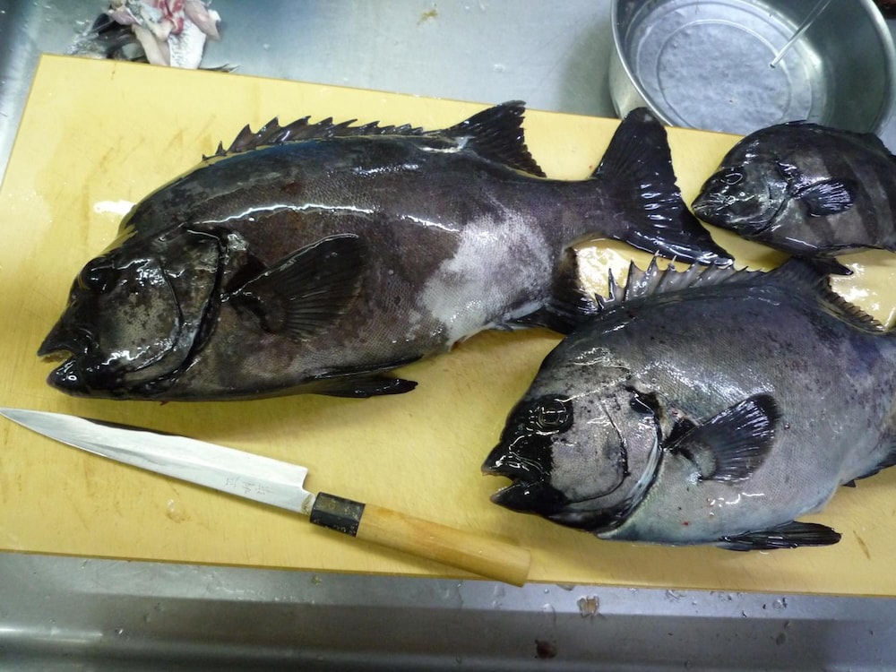 夕日と漁火の宿 七浦荘 新潟