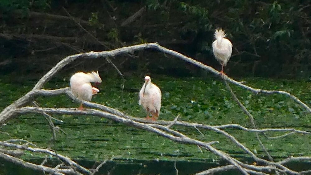 夕日と漁火の宿 七浦荘 新潟