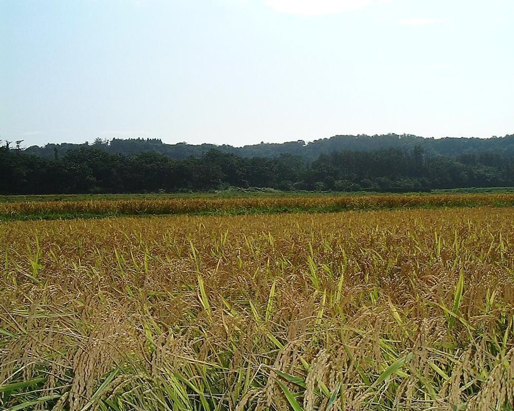 夕日と漁火の宿 七浦荘 新潟