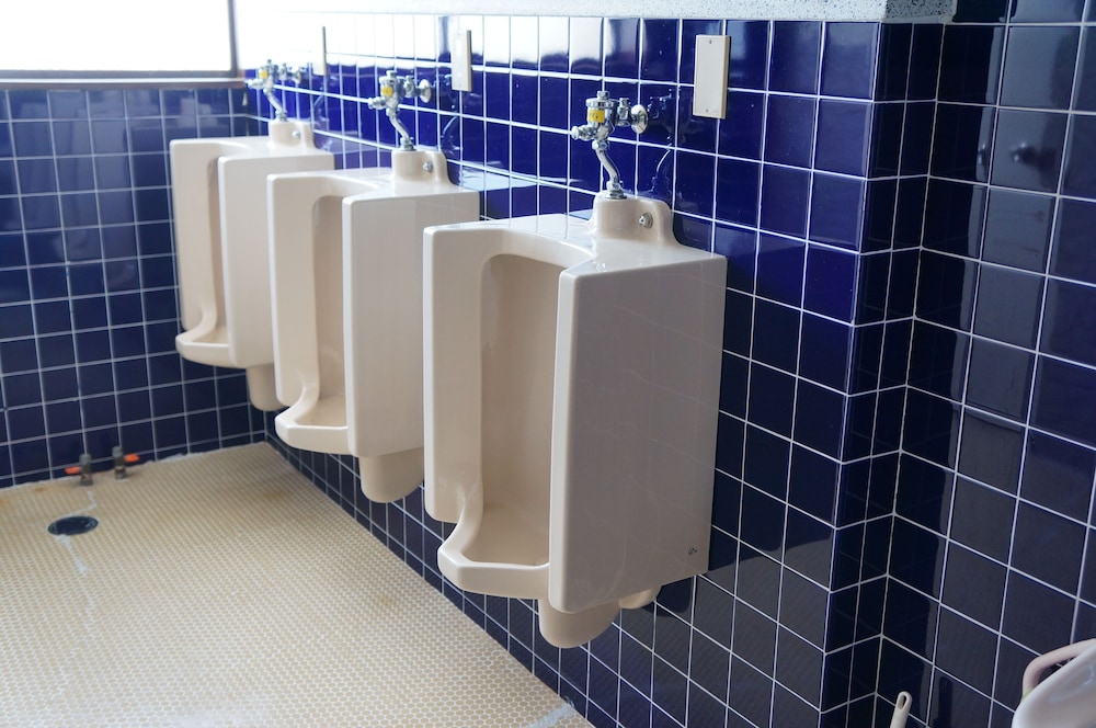 ニューフクダヤ 新潟