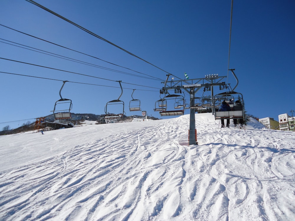 ニューフクダヤ 新潟