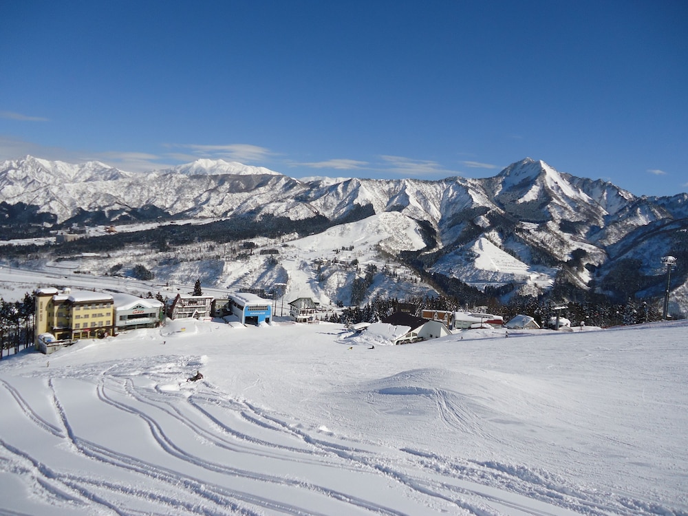 ニューフクダヤ 新潟