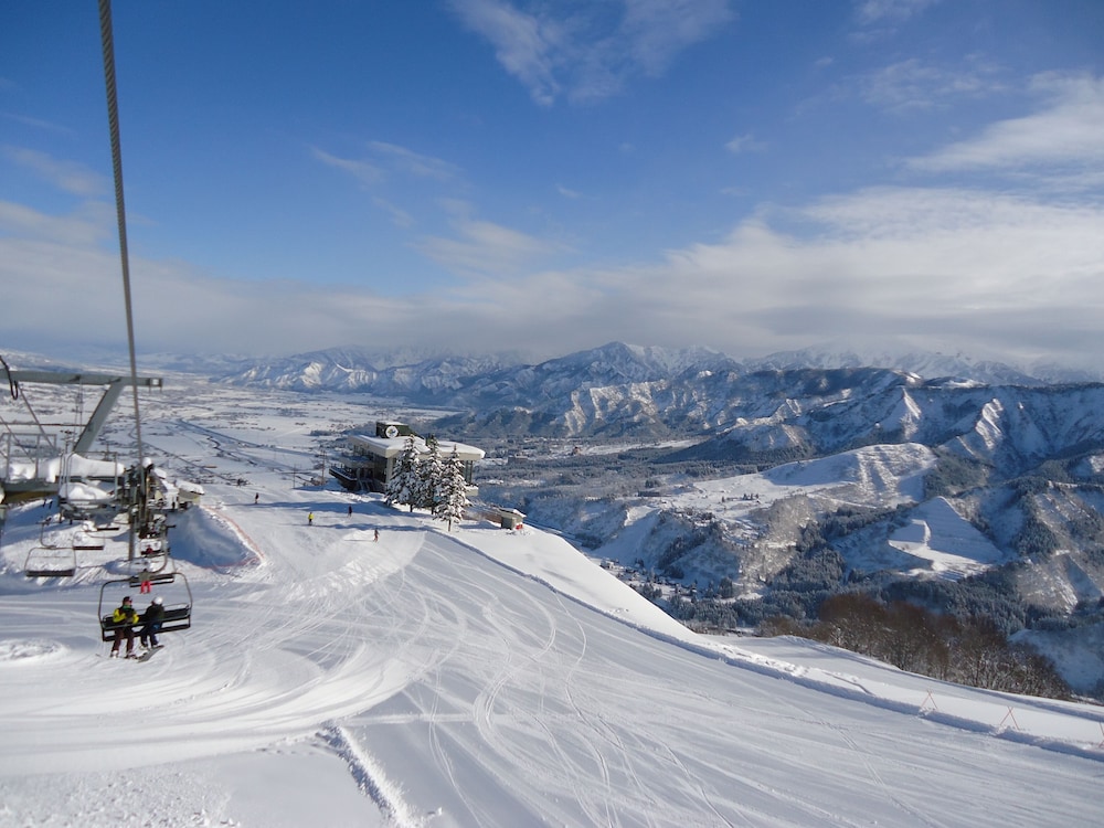 ニューフクダヤ 新潟