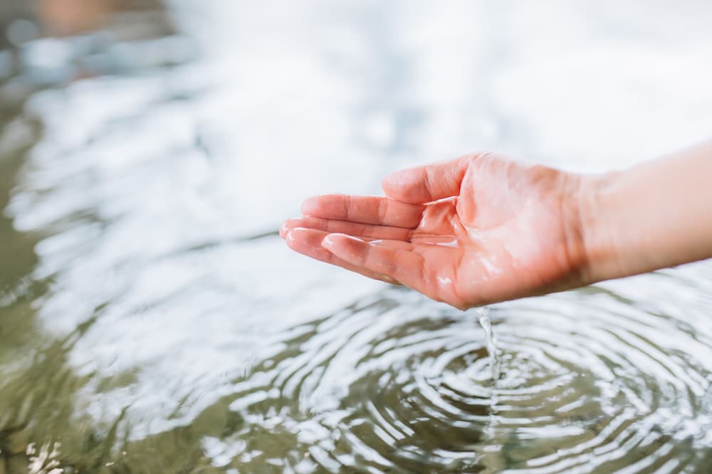 花とほたる 湯のさと 雪国 新潟