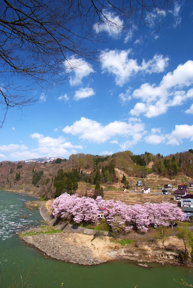 越後田中温泉 しなの荘. 新潟