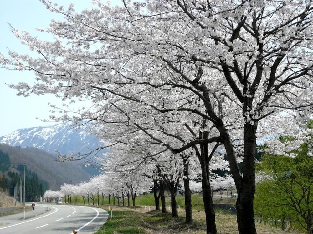 ホテル シェラリゾート湯沢 新潟