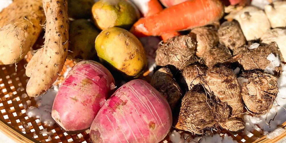 石打スキーセンター 新潟