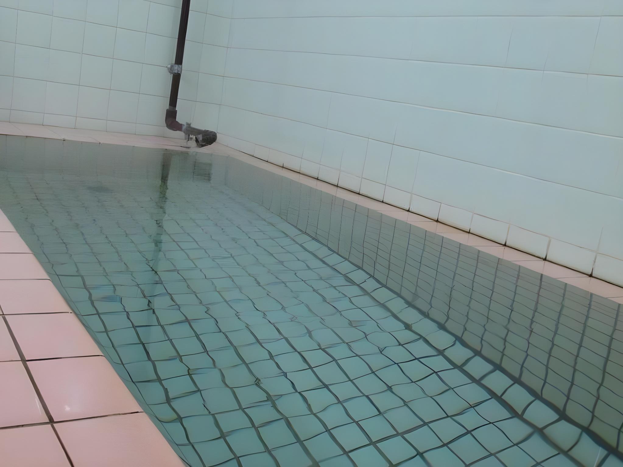 温泉民宿 ゆたかや 新潟