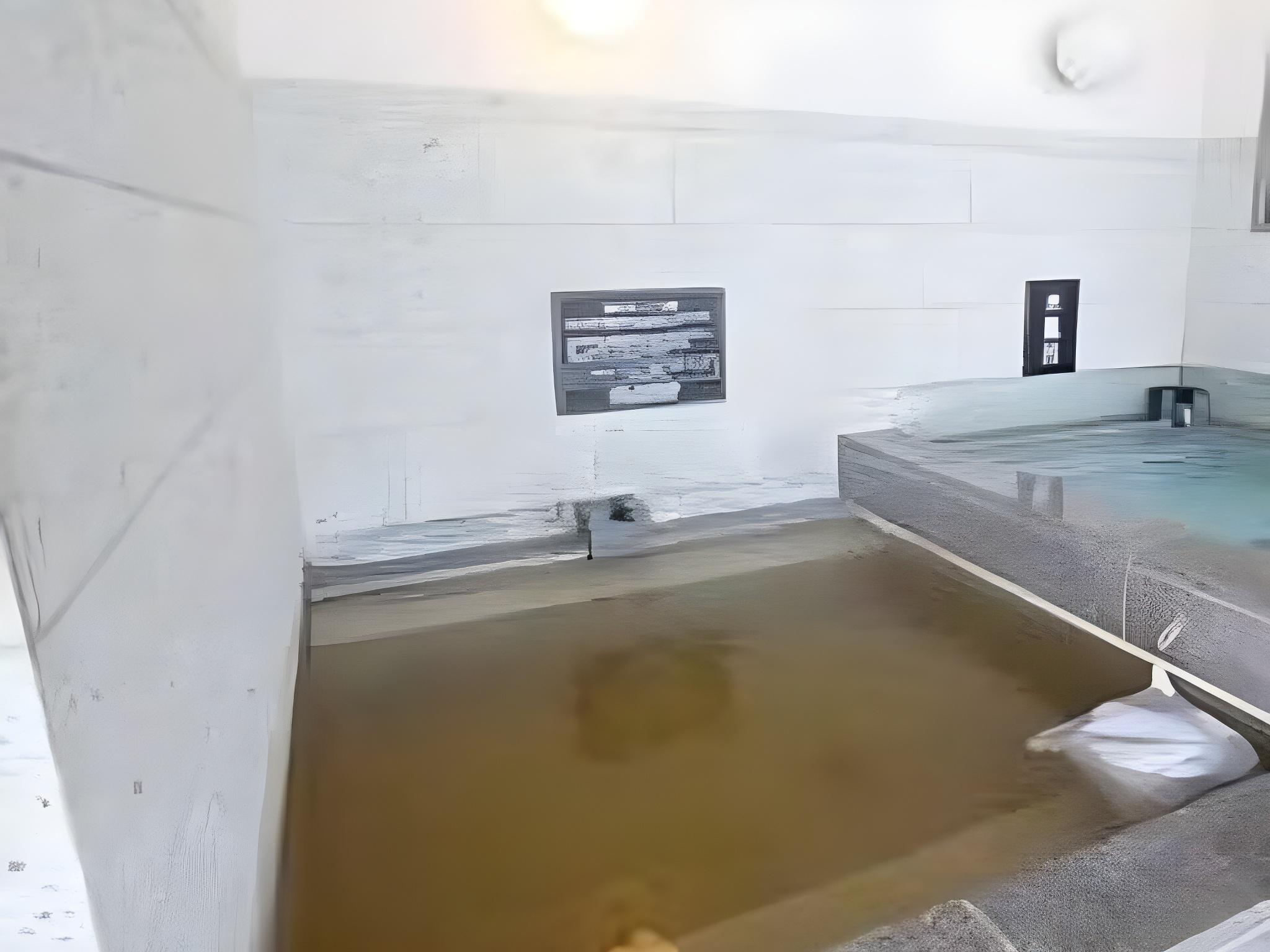 寺泊岬温泉 ホテル飛鳥 新潟