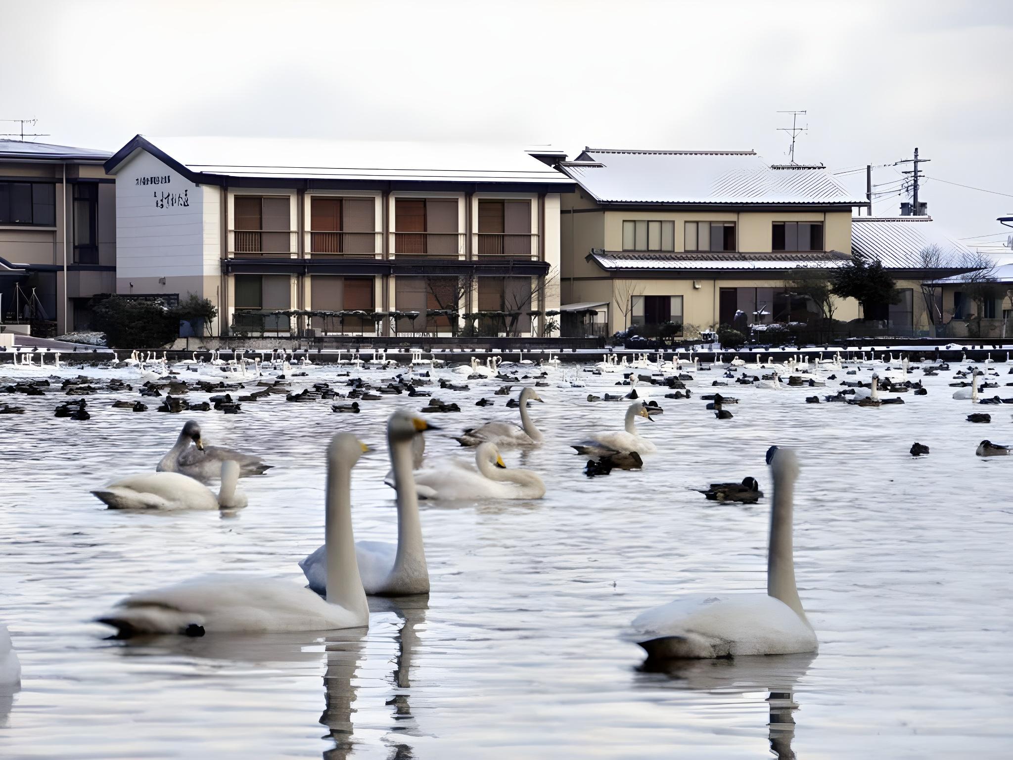割烹旅館 ますがた荘 新潟