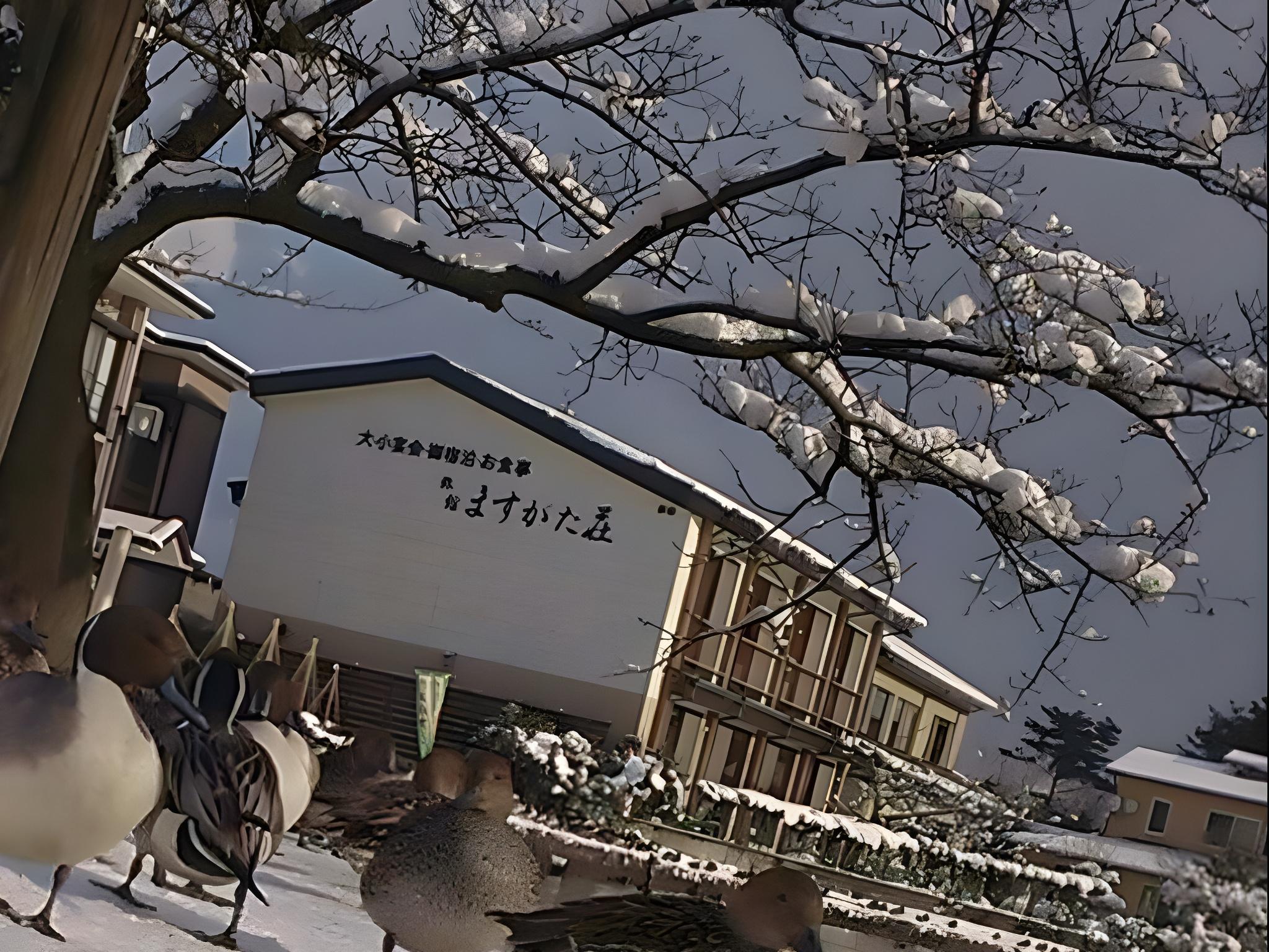 割烹旅館 ますがた荘 新潟