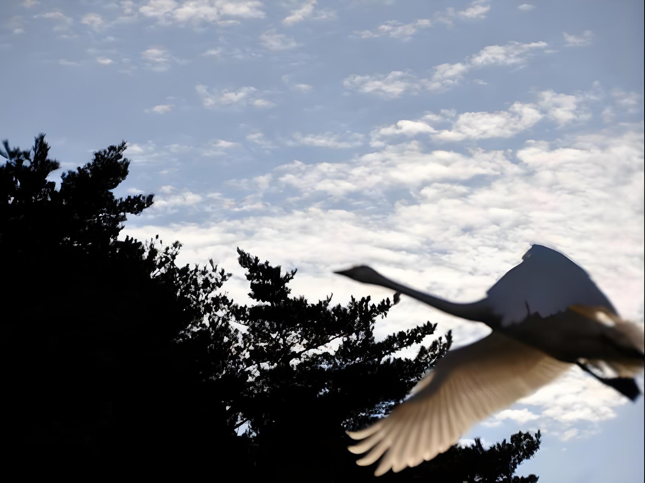 割烹旅館 ますがた荘 新潟