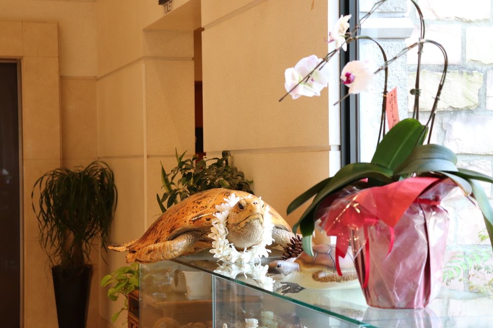 亀屋ホテル華椿 熊本