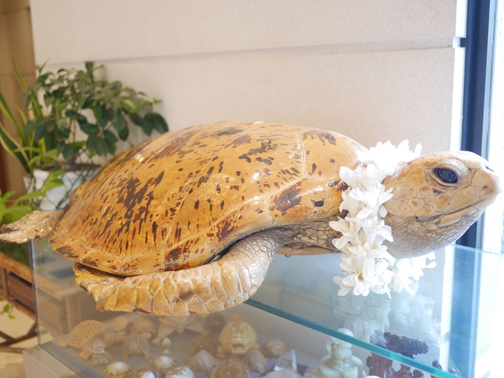 亀屋ホテル華椿 熊本