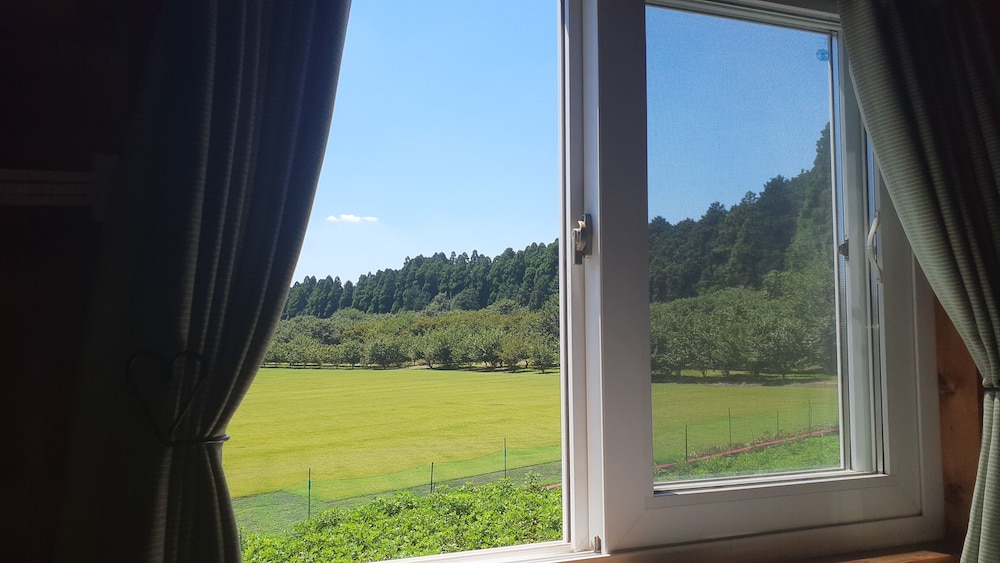 旅宿ラッシー 熊本