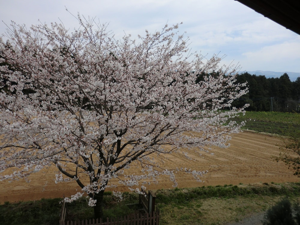 旅宿ラッシー 熊本