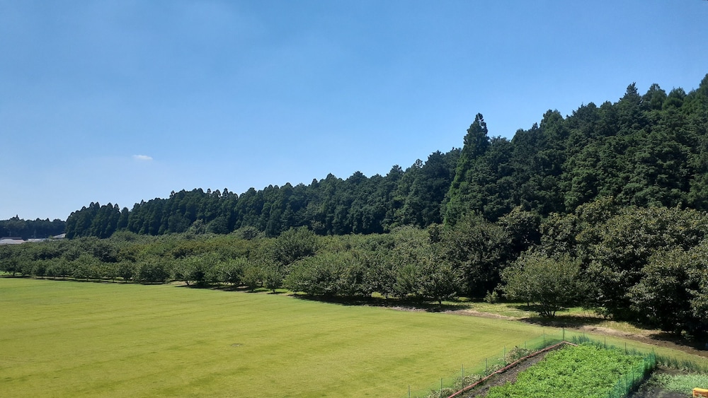 旅宿ラッシー 熊本