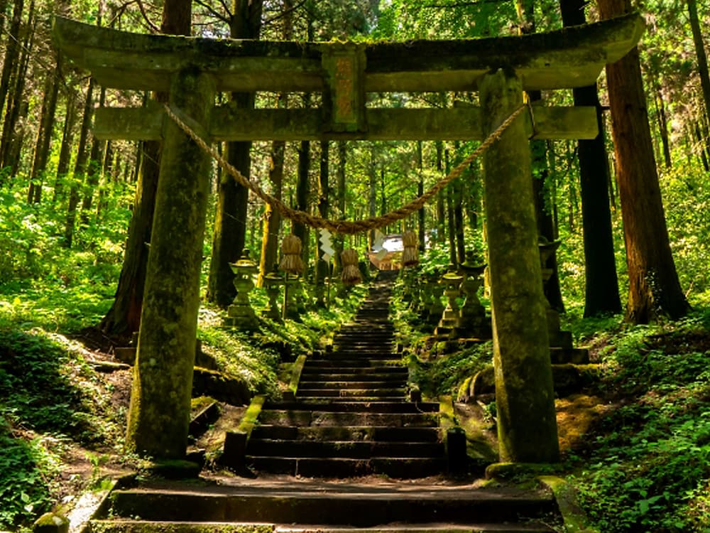四季の森 熊本