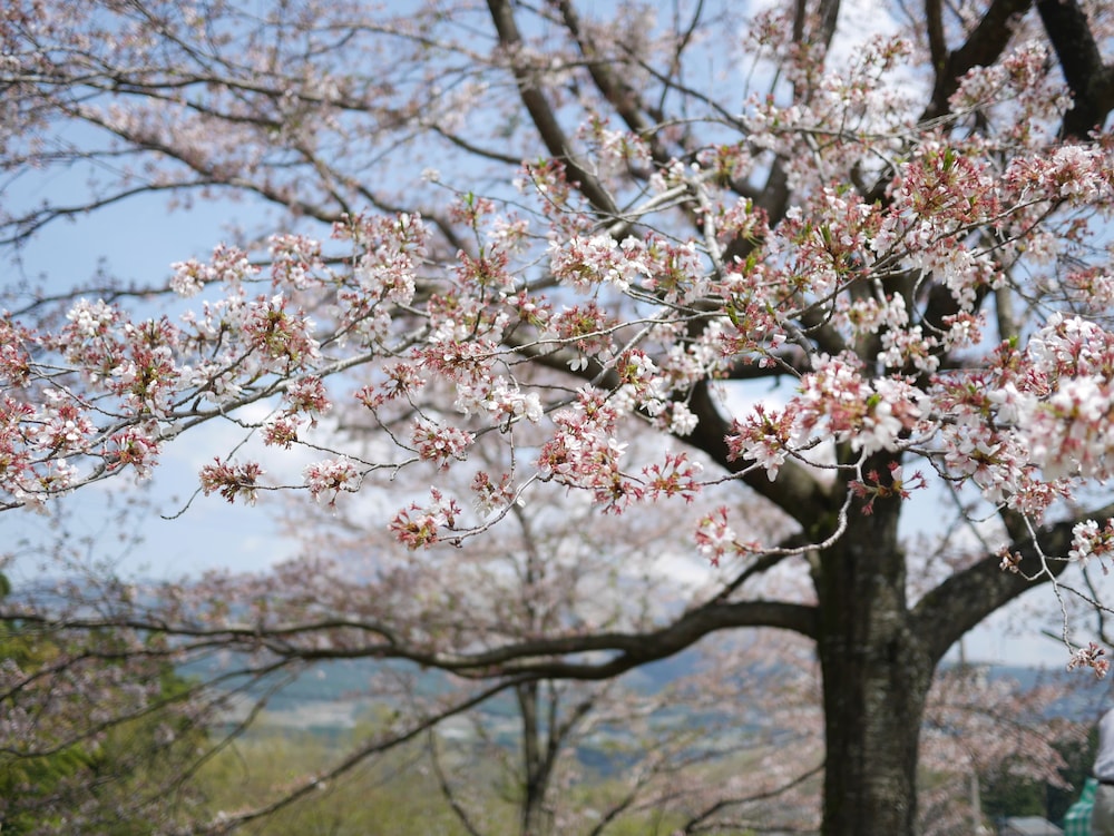 四季の森 熊本