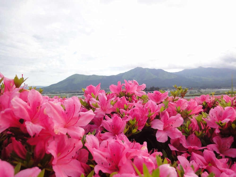 四季の森 熊本