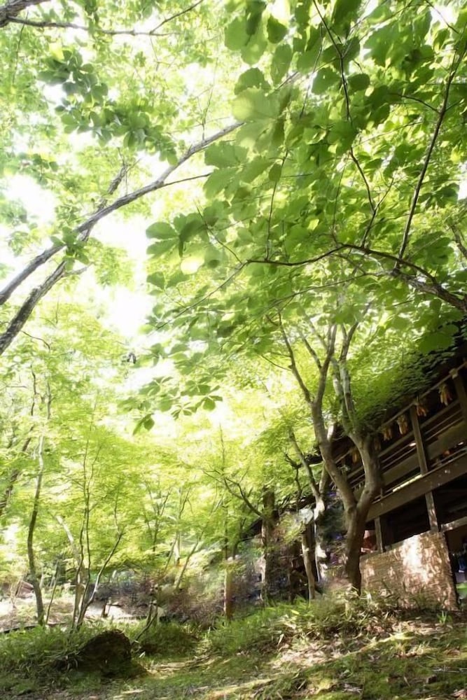 黒川温泉 夢龍胆 熊本