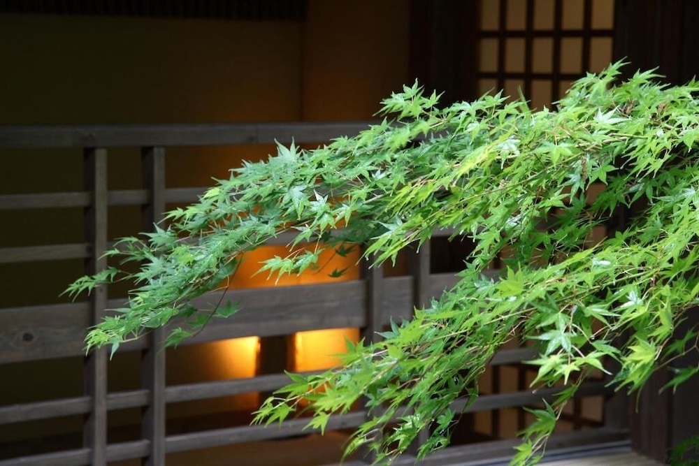 黒川温泉 夢龍胆 熊本