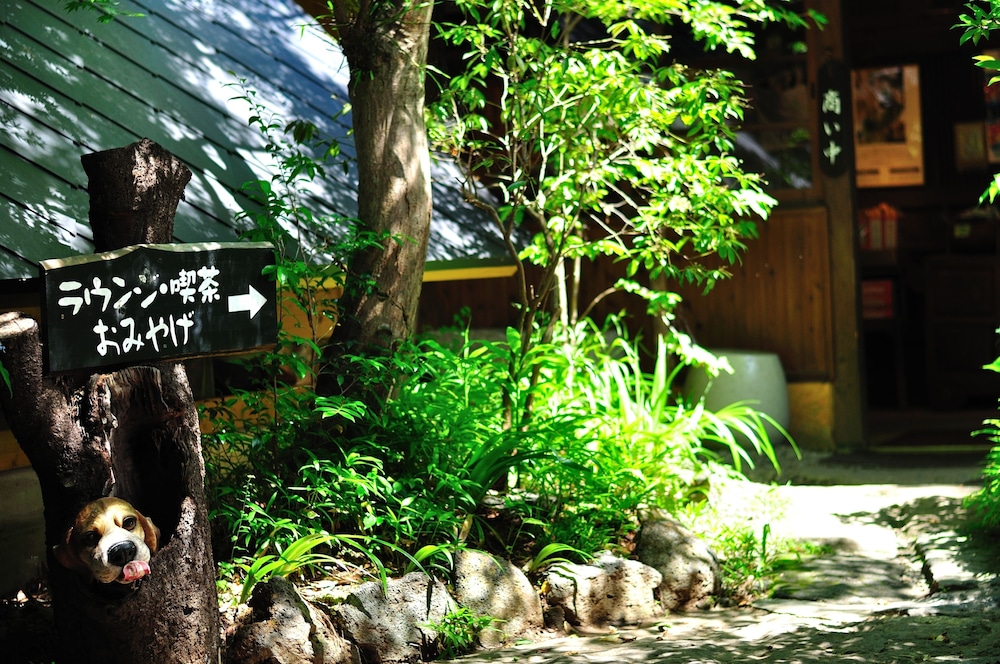 黒川温泉 やまびこ旅館 熊本