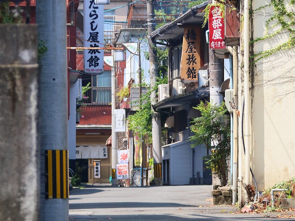 日奈久温泉 金波楼 熊本