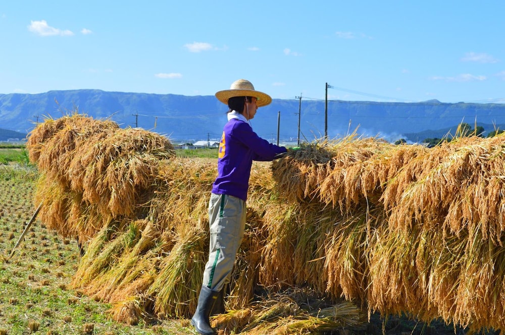 はなれの宿 千の森 熊本