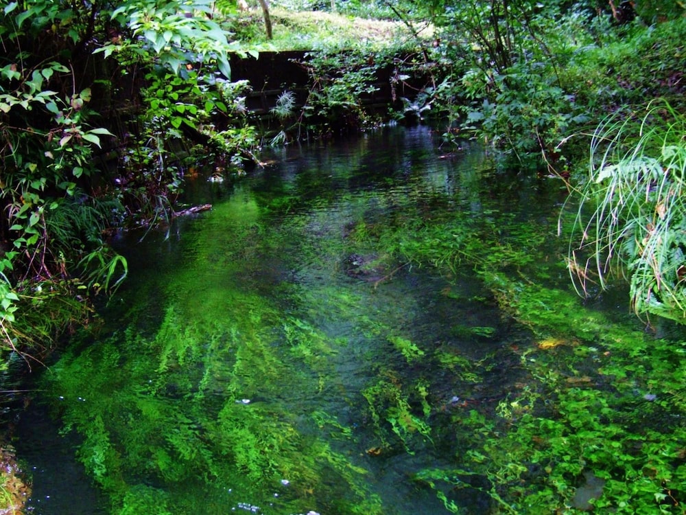はなれの宿 千の森 熊本