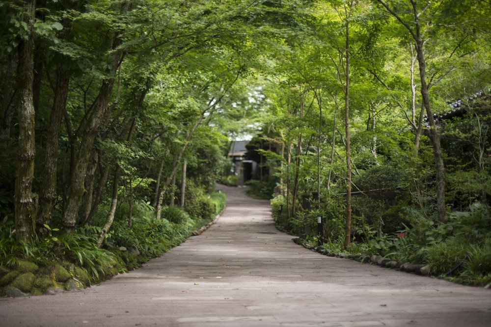 黒川温泉 奥の湯 熊本