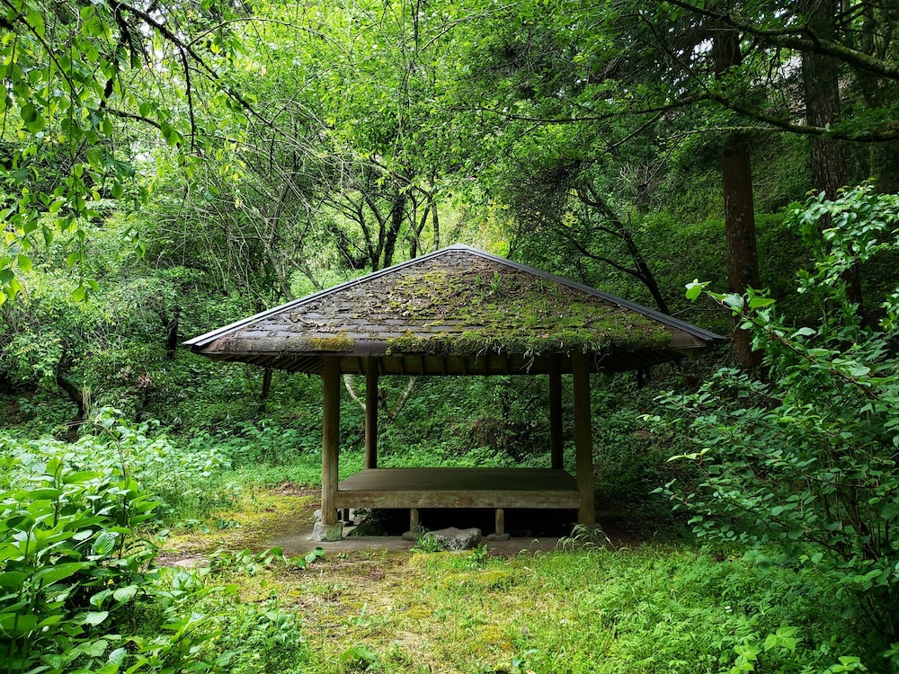 ASO TOURIST BASE 熊本