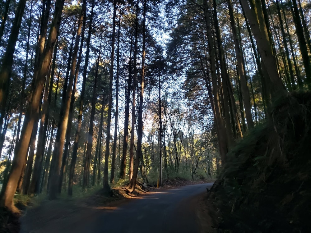 ASO TOURIST BASE 熊本