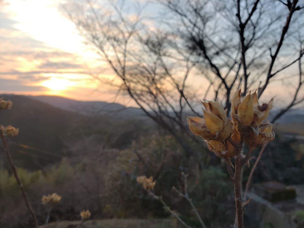 ASO TOURIST BASE 熊本