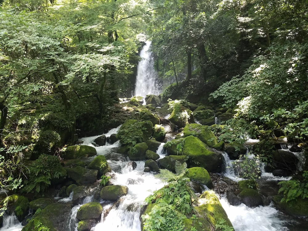 ASO TOURIST BASE 熊本