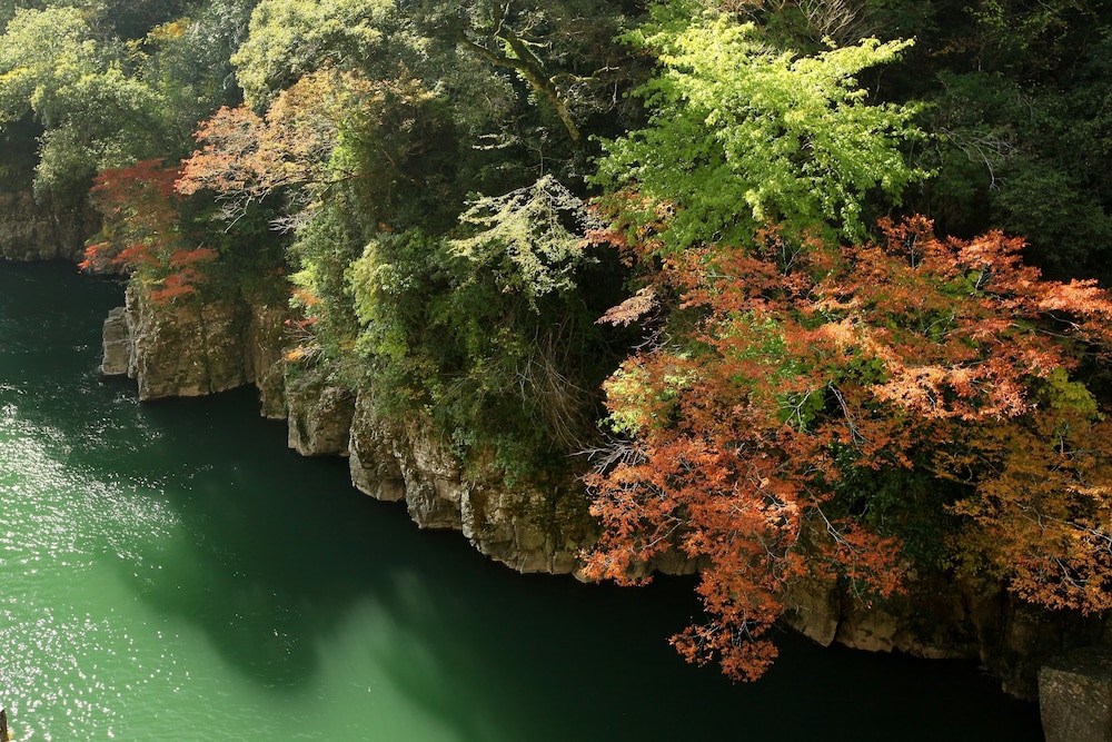 つえたて温泉ひぜんや 熊本