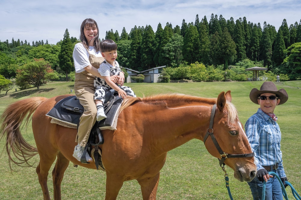 亀の井ホテル 阿蘇 熊本