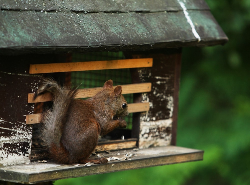 森のスパリゾート 北海道ホテル 帯広