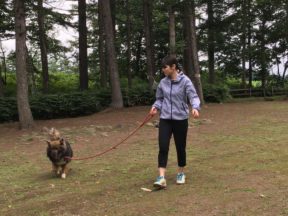 帯広八千代ユースホステル 帯広