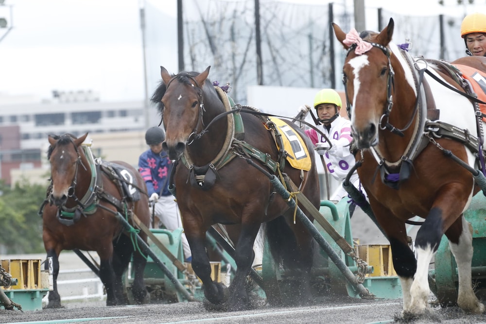 ホテル東横INNとかち・帯広駅前 帯広