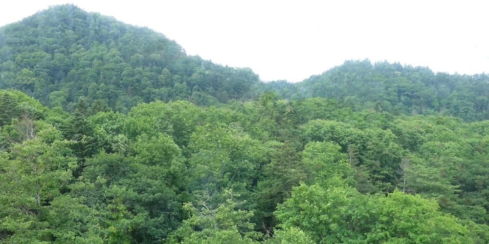 糠平館観光ホテル 帯広