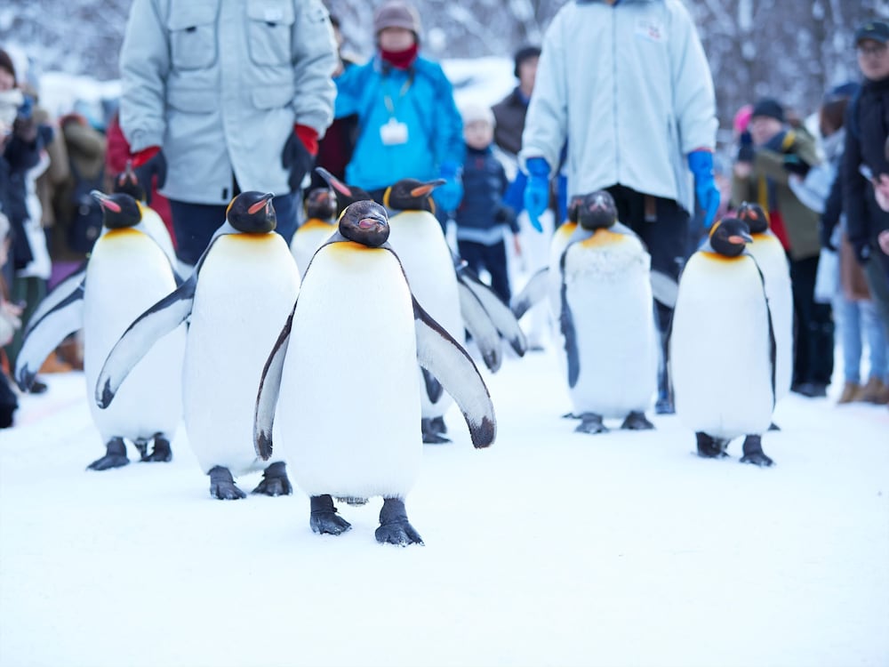 星野リゾート リゾナーレトマム 帯広