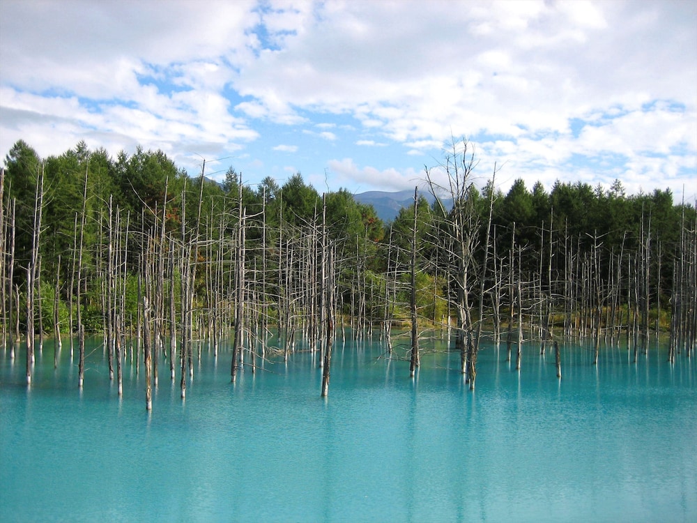 星野リゾート リゾナーレトマム 帯広
