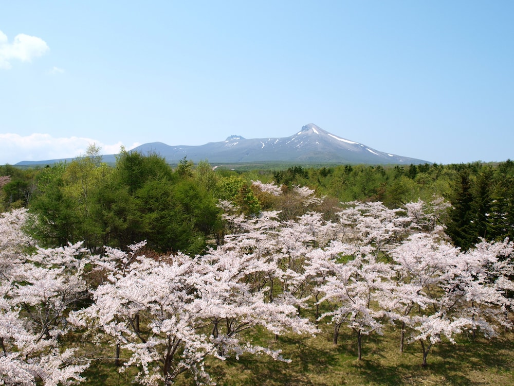 ロイヤルホテル みなみ北海道鹿部 函館