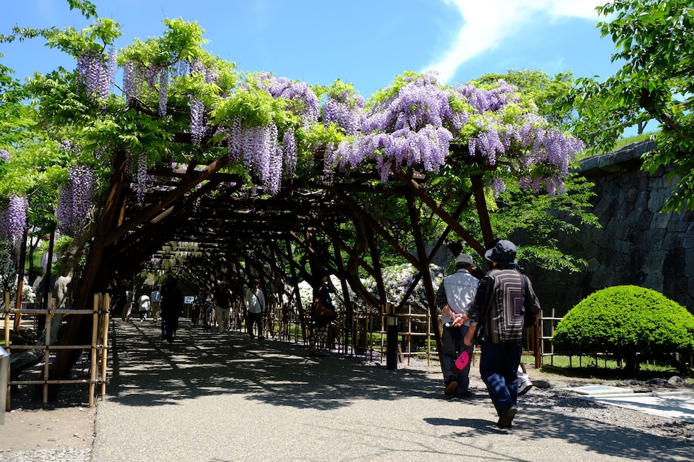 割烹旅館 若松 函館