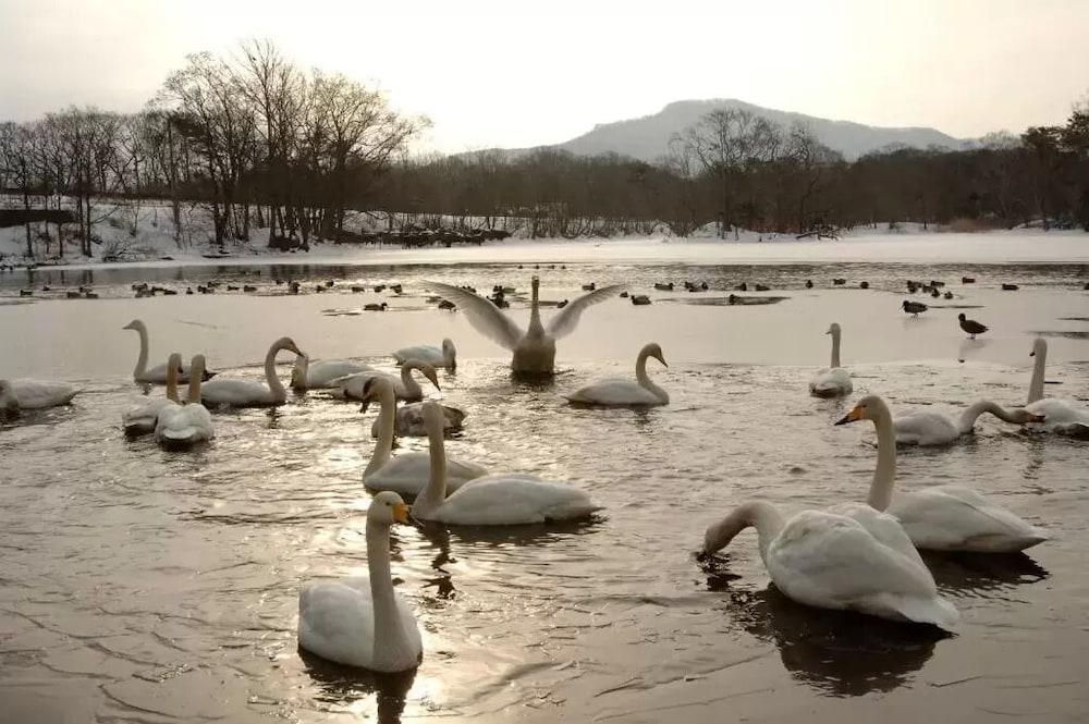 ONUMA LAKESIDE COTTAGE 函館